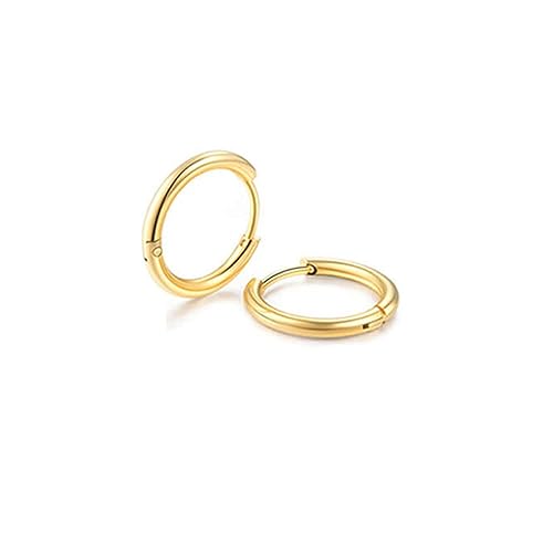 Small Unisex Cartilage Hoop Earrings,316L Surgical Stainess Steel Huggie Hoop Earrings for Helix Lobes Hinged Sleeper Earrings for Men