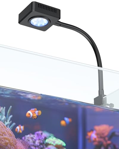 Image of Pawfly 15 W LED Aquarium Light with Brilliant Blue White Red Lights for 1 to 10 Gallon Fish Tank