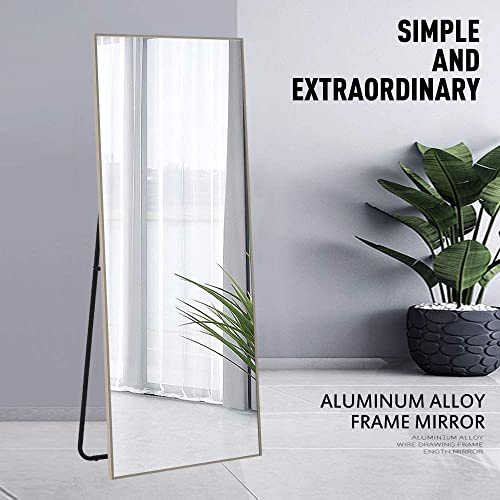 Image of NeuType Full Length Bedroom Wall-Mounted Floor Mirror with Standing Holder (Matte Champagne)