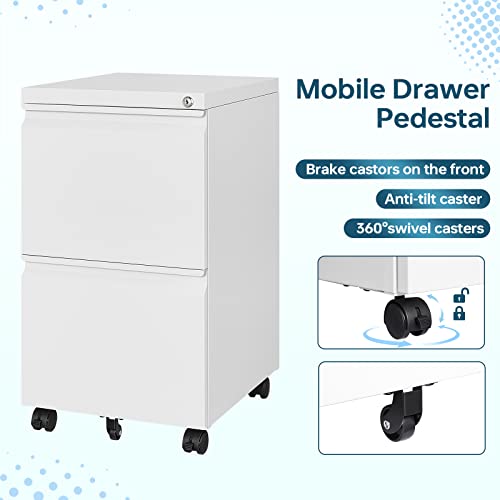 2 Drawer File Cabinet On Wheels, Home Office Mobile File Cabinet Under Desk With Lock, 2 Deep Large Drawers For Legal/Letter/A4 Files #TOP4
