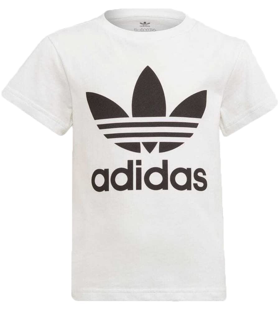 Amazon.co.jp: (アディダス オリジナルス) adidas Originals