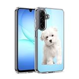 cuccioli maltese in regalo perugia Presa Ergonomica & Texture Antiscivolo - Realizzata In TPU Morbido Al Tatto, Questa Custodia Per Samsung Galaxy A17 4G / 5G Offre Una Presa Comoda E Sicura, Riducendo Il Rischio Di Cadute Accidentali, Pur Mantenendo Un Look Elegante.