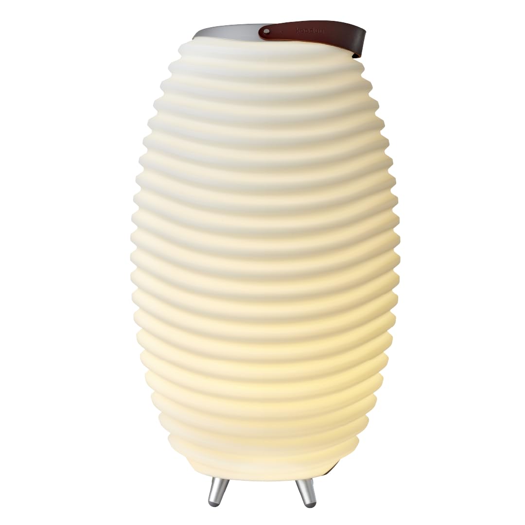 Kooduu Synergy 65 - Enceinte Bluetooth avec Lampe - Refroidisseur à Vin