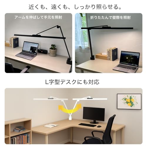 ホームクック　ヒーリングライト研究所 ヒーリングライト研究所」の人気商品一覧 | 安い商品を通販
