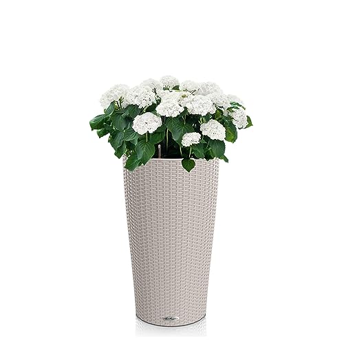 Lechuza CILINDRO Cottage 23 pot de fleurs cylindrique brun sable
