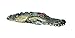 Outdoor Water Solutions Floating Alligator | Predator Deterrent | Pond Diffuser Marker