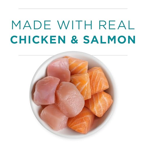 Purina ONE Grain Free, Natural Pate Wet Kitten Food, Healthy Kitten Chicken & Salmon Recipe - (Pack of 48) 3 oz. Pull-Top Cans - image 4