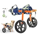 VEVOR Carrozzina a 2 Ruote Regolabile per Cani di Taglia Media, Sedia a Rotelle a 2 Ruote per Cani, Altezza, Larghezza e Lunghezza Regolabile, per Animali Disabili e Feriti con Supporto Posteriore