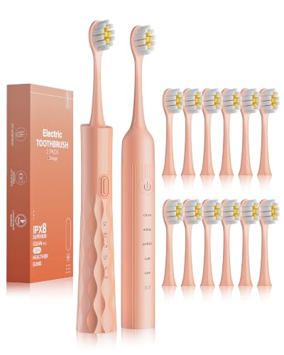 Aneebart 2 Pack Electric Toothbrush for Adults, USB Rechargeable Sonic Toothbrush with 12 Brush Heads, Smart Timer, 5 Modes, 2-Hour Fast Charge Last 30 Days