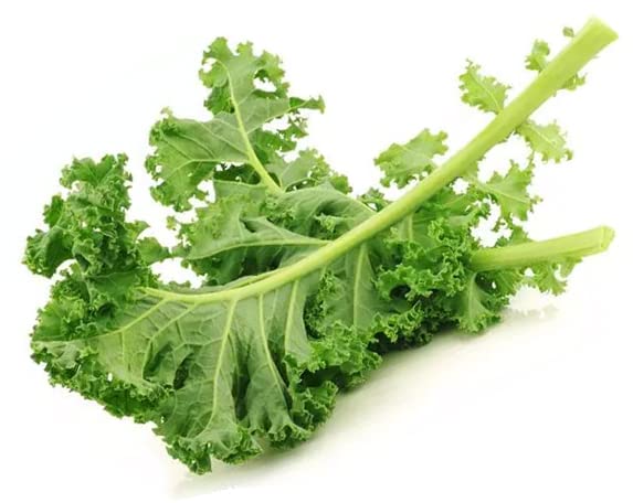 Kale Seeds for Planting, Kale Seeds for Sprouting, Non GMO Veggie Seeds for Planting,Microgreen Seeds for Home Garden or Micro Greens Tray (Vates Blue Scotch Curled Kale Seeds, 3g, 700 Seeds)USA