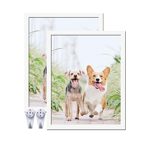 icariery White 11x14 Picture Frame Set of 2, High Transparent Picture Frames for 11 x 14 Canvas Collage Photo Poster Certificate Wall Gallery Horizontal Vertical 11 By 14