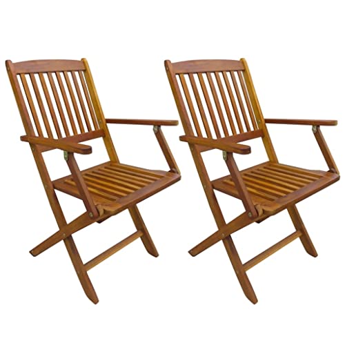 vidaXL Lot de 2 chaises de Jardin en Bois d'acacia