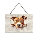cartello american pit bull terrier per la casa soggiorno decorazione e accessori cane mamma regalo targa in legno per la decorazione della casa decorazioni per la casa decorazione della parete del