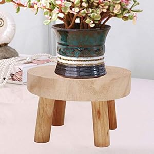 Develoo Wood Plant Riser Stands,Mini Round Stool Bonsai Holder Potted Display Shelf for Office Dining Room Indoor Outdoor Decor
