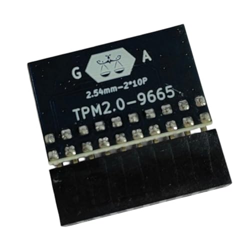 Puce de sécurité TPM : module de plate-forme loyale avec algorithmes cryptographiques