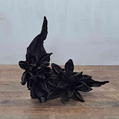 Flores Decorativas Secas Negras para Hogar y Eventos miniatura 4