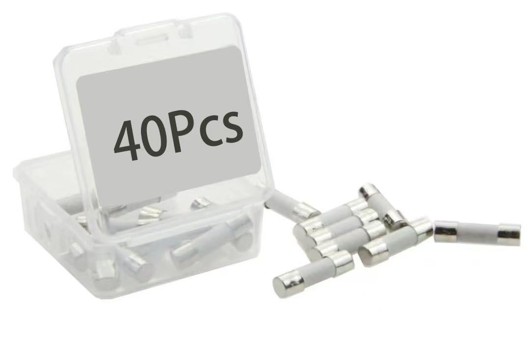T8AL250V,8A, Slow-Blow Ceramic Fuses, 6x30mm,8 amp 250 Volt,0.24