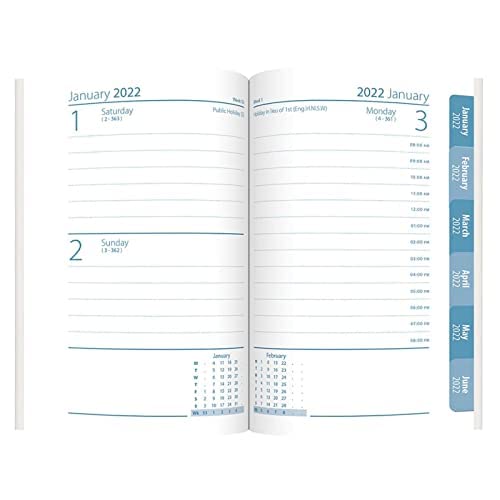 Chiusura a bottone 2017 effetto pelle come A5