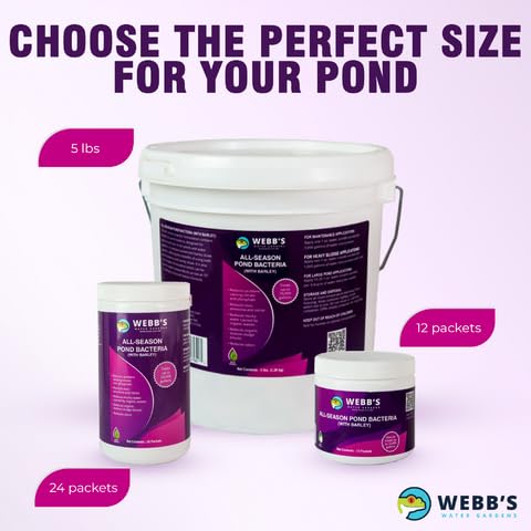 Webb's Water Gardens Całoroczne bakterie stawowe z paczkami jęczmienia – nośność do 2000 galonów – 12 opakowań dla łatwego nakładania – 2,3 kg – idealne do oczyszczania wody w stawie i utrzymania