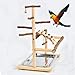 Leefasy Bird Playground,Birdcage Playstand, Pet Bird Perch Stand, Parrot Play Gym Parakeet Cage Decor Budgie Perch Stand for Parakeets Lovebirds Conure