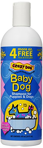 Crazy Dog Baby Powder Shampoo for Dogs, 16-Ounce