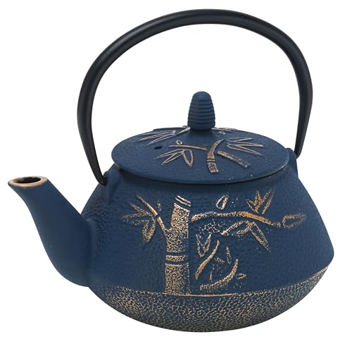 kitchen cast iron tea kettle