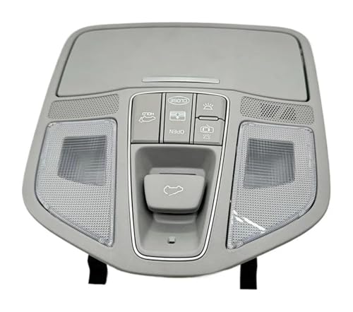 Luz de lectura delantera para Hyundai Santa Fe XL 928002W610OM consola de techo