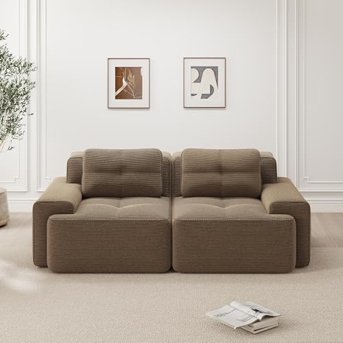 Yihomfy Canapé 2 Places Modulaire Désossé, Loveseat Small Canapé avec 2 Coussins, Confortable Velours Côtelé Cloud Canapé de Salon, sans Montage...