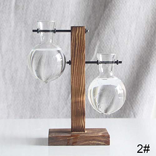 XCVB Glass and Wood Transparent Flower Pot Nordic Simple Vase Desktop Hydroponics Plant Bonsai,2