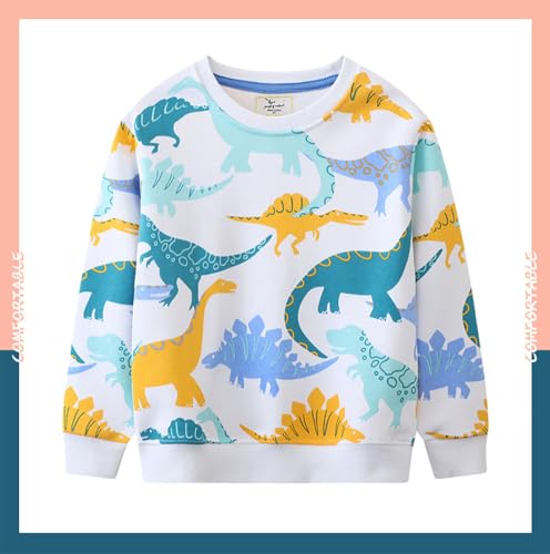 Boys Sweatshirts Casual Sweatshirts Cotton Sweatshirts Long Sleeve T-shirts Crew Neck Cartoon Tops for Boys-573