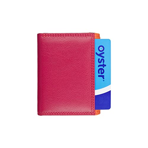 VISCONTI Rainbow Collection Small Leather Purse RFID and Tap and Go RB126 (Orange Multi)4