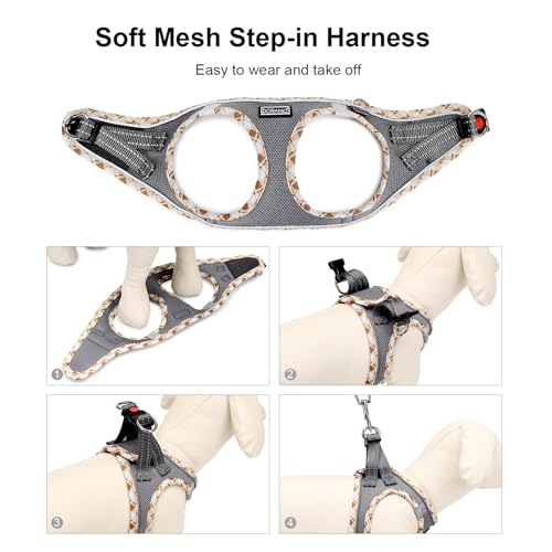 DORAMIO Hundegeschirr Kleine Hunde mit Leine, Step-in Geschirr Reflektierend Atmungsaktiv Brustgeschirr Anti Zug Sicherheitsgeschirr Katzengeschirr für Kleine Hunde, Katzen (Grau, XXS)