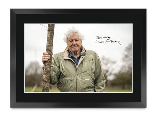 Regalo para fans de David Attenborough cuadro enmarcado A3 con firma impresa