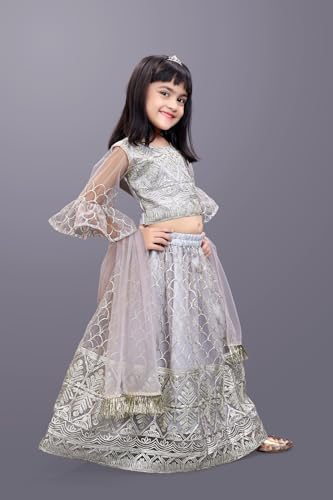 Image of Girl's Princess Lehenga Choli Set - Soft Net, Ribbon Embroidery With Duppata, Readymade