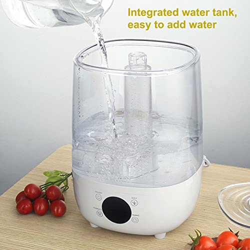Humidificador de niebla para reptiles, con control de humedad y manguera para paludario, vivero, anfibios, herpes, tanque silencioso de reptiles de 5 litros