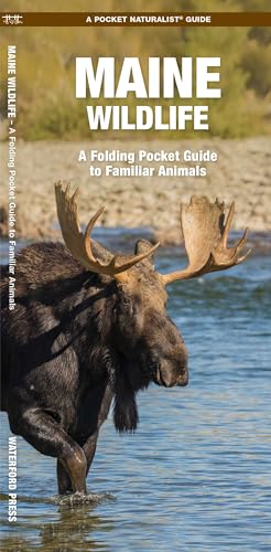 Maine Wildlife: A Folding Pocket Guide to Familiar Animals (Nature Observation North America) Maine Wildlife: A Folding Pocket Guide to Familiar Animals (Nature Observation North America)