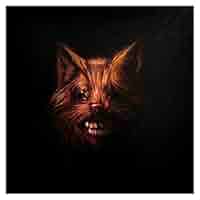 洋楽 Swans 13th CD The Seer: Swans, Swans: Amazon.es: CD y vinilos}