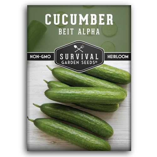 Beit Alpha Cucumber Seeds for Planting - Burpless Variety (1 Pack)