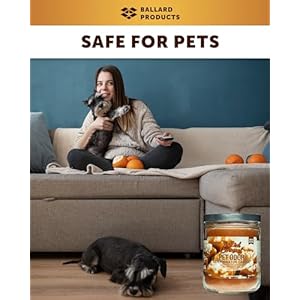 Ballard Products Specialty Pet Products Pet Odor Eliminating Candle Salted Caramel  Pack of 2 Pet Odor Eliminator Candle  Pet Candles Odor Eliminator for Your Home  Bundle Air Freshener  Cucciolini Doodles Ballard products specialty pet products pet odor eliminating candle salted caramel  pack of 2 pet odor eliminator candle  pet candles odor eliminator for your home  bundle air freshener   cucciolini doodles