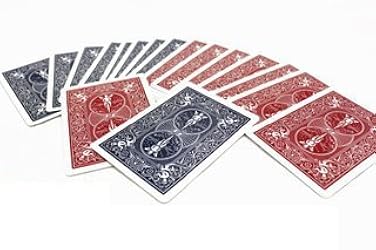 t*o様 Bicycle トランプ 12デッキ 6赤6青 t*o様 Bicycle トランプ 12デッキ 6赤6青 楽天市場】バイスクル