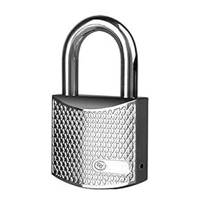 Foelanne 3065 Vorhängeschloss mit 6 Schlüsseln