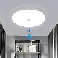 Lampara Para Baño Con Sensor De Movimiento LED Plafón con Sensor de Movimiento 30W 6500K Lámpara de Techo blanca redondo 2700LM Ø25CM lámpara de techo para Cocina, Baño, Oficina, Porche, Garaje