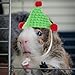 BESPORTBLE Knitted Guinea Pig Hat Strap Cute Tiny Hamster Costume for Pet Birthdays Photo Prop for Small Animals Soft and Comfortable Design