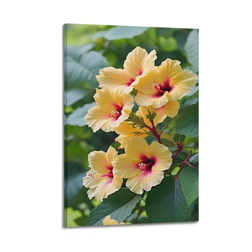 Plantes d'hibiscus jaunes pour illuminer un mur sombre 50x75cm