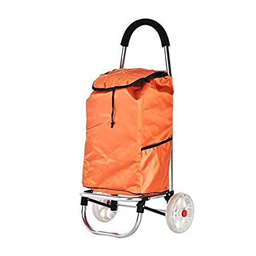 Panier Pratique le chariot de ménage idéal pour vos courses