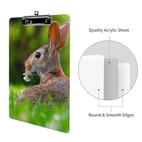 Lapin clipboard pour papier documents rigide format A4 porte-formulaires de bureau - 3