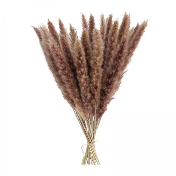 CALANDIS™ 2x15x Dried Pampas Grass Phragmites Reed Flower Bunch Home Wedding Decor Gift Natural | Floral Dacor | Home Dacor-image-32