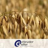 Gebrüder Goller 25kg Haferschrot – Hochwertiges Pferdefutter, Geschroteter Hafer für Pferde, Kraftfutter & Walzhafer Futtermittel - 100% Natur aus direkt aus Bayern