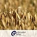 Gebrüder Goller 25kg Haferschrot – Hochwertiges Pferdefutter, Geschroteter Hafer für Pferde, Kraftfutter & Walzhafer Futtermittel - 100% Natur aus direkt aus Bayern