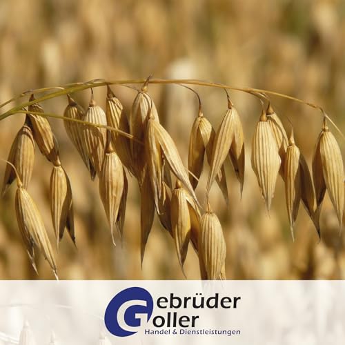 Gebrüder Goller 25kg Haferschrot – Hochwertiges Pferdefutter, Geschroteter Hafer für Pferde, Kraftfutter & Walzhafer Futtermittel - 100% Natur aus direkt aus Bayern